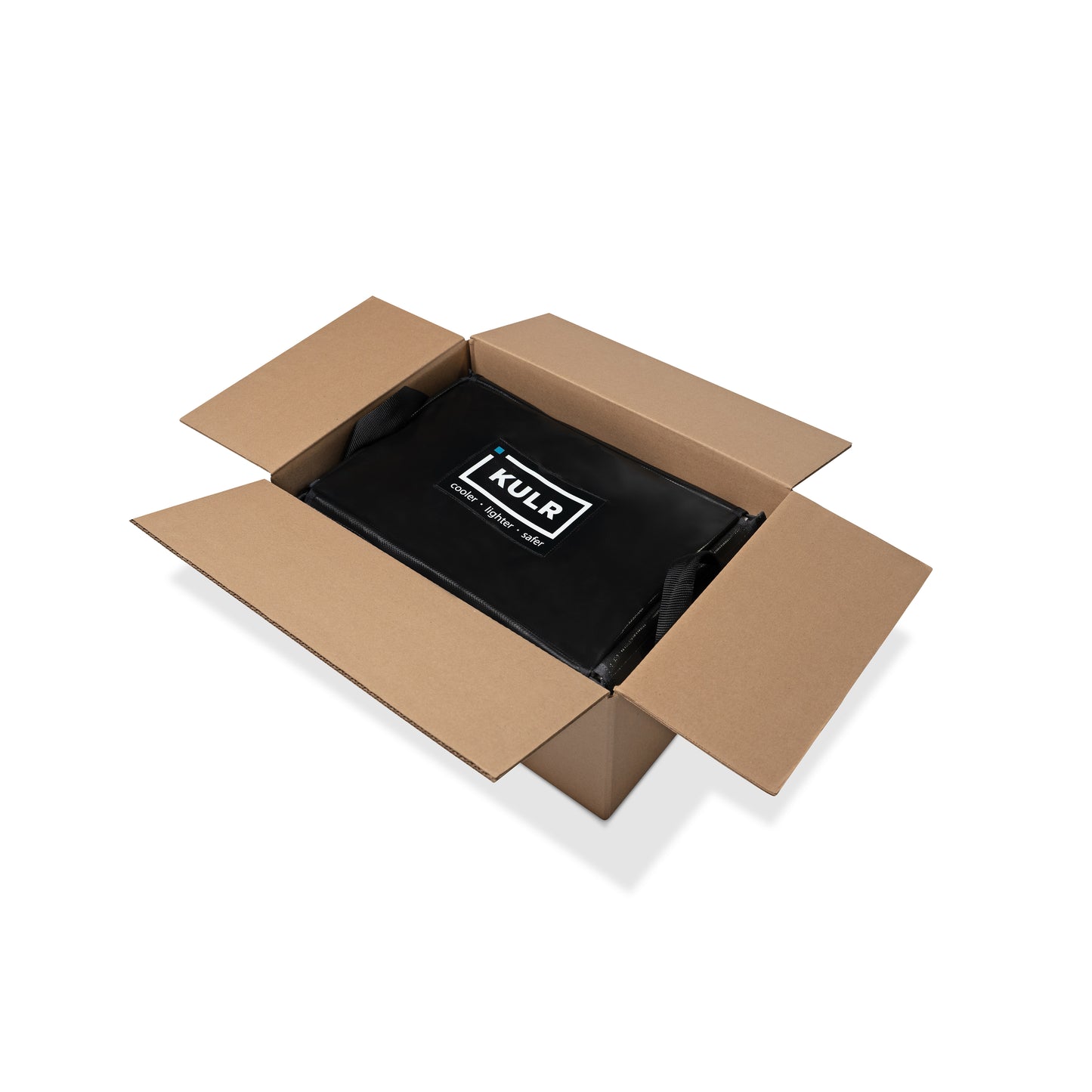 SafeCASE - Model N
